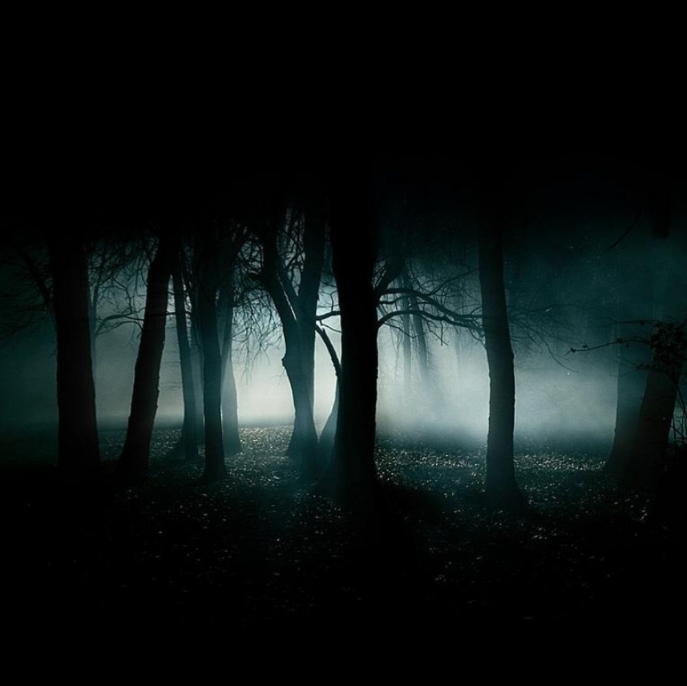 Meet your Posher, Greta